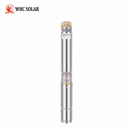 Mastra Ruirong Bombas de poço elétricas de cabeça alta de aço inoxidável completo de 4 polegadas Solar AC DC Bomba de água de poço submersível
